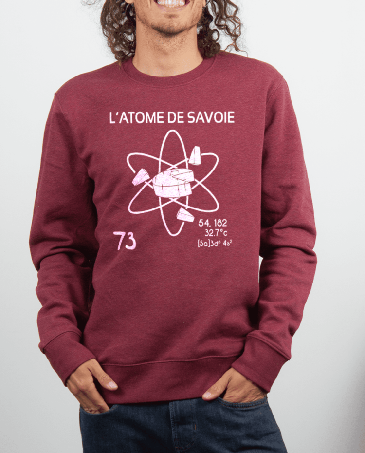 Pull Homme rouge Bordeau atome de savoie 73