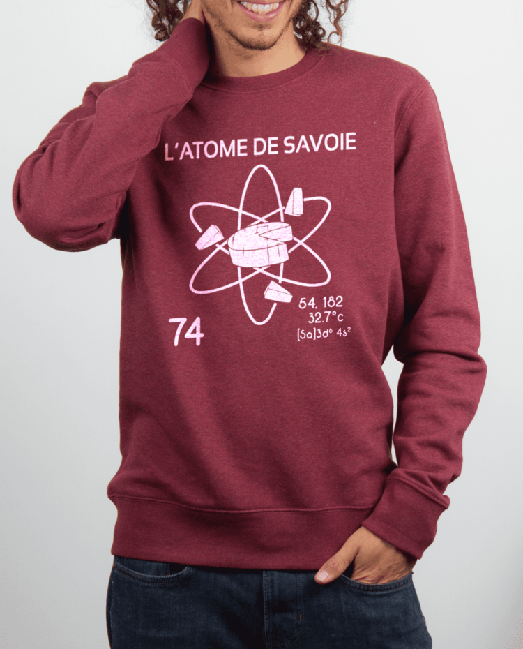 Pull homme Bordeau atome de savoie 74