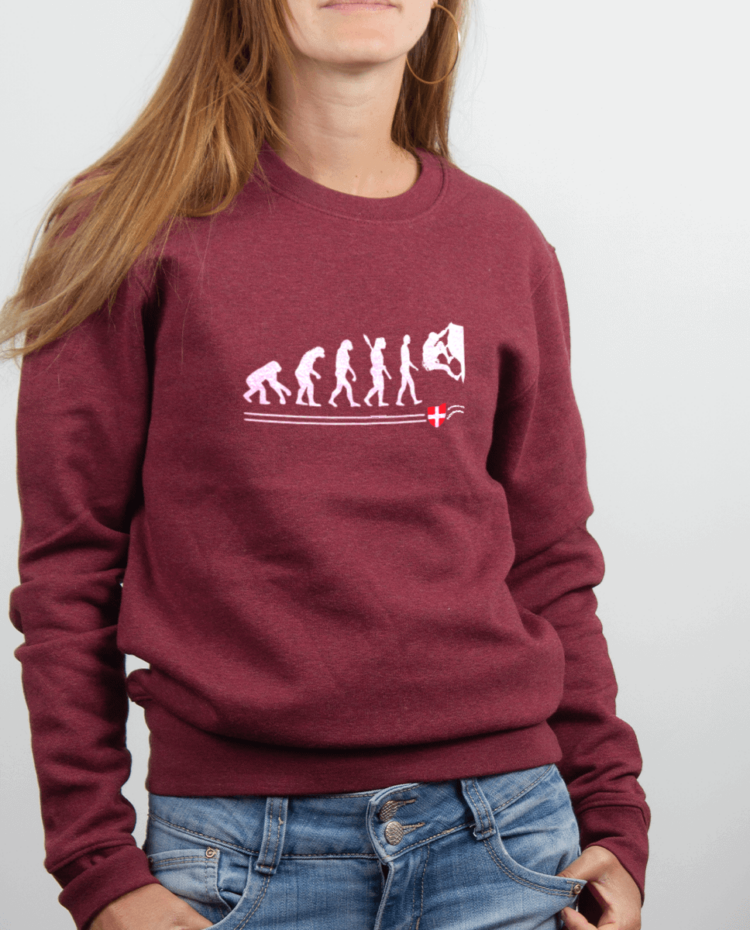 Pull femme Bordeau EVOLUTION ESCALADE