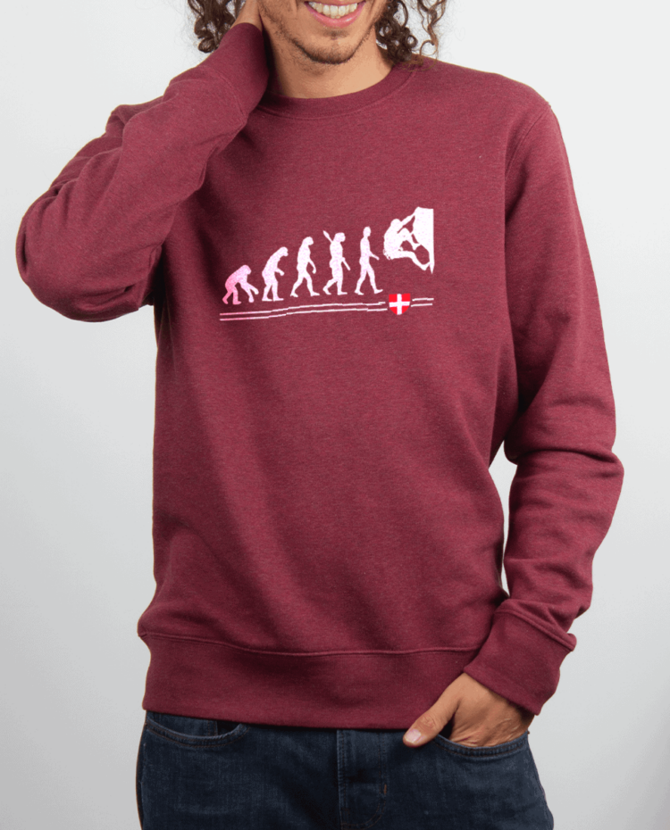 Pull homme Bordeau EVOLUTION ESCALADE