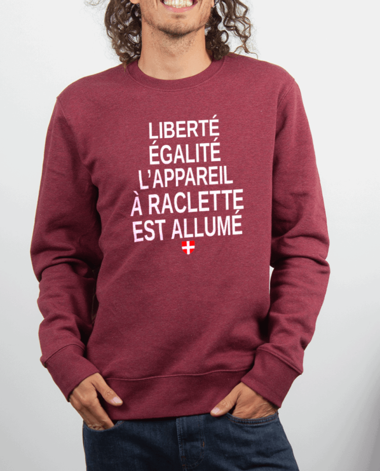 Pull Homme rouge Bordeau LIBERTE EGALITE LAPPAREIL A RACLETTE EST ALLUME