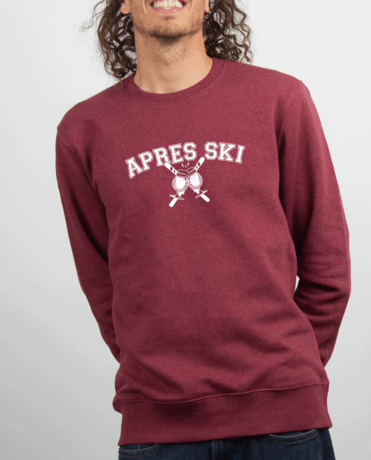 Pull Homme Bordeau APRES SKI BIERE