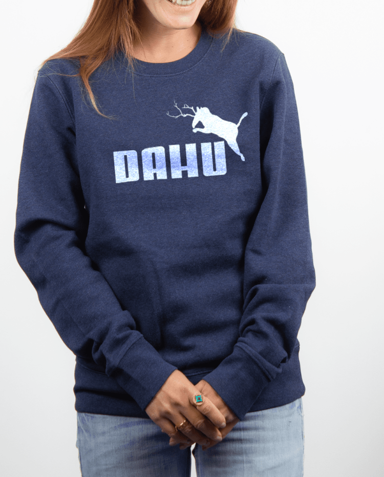 Pull Femme Bleu jean Dahu