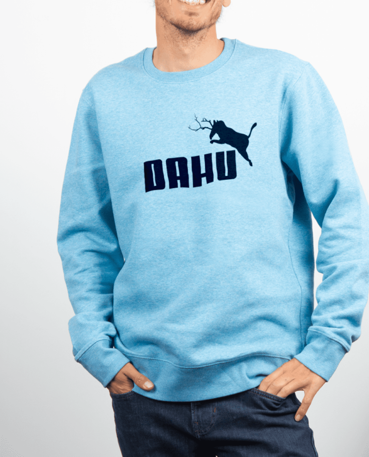 Pull Homme Bleu Ciel Dahu