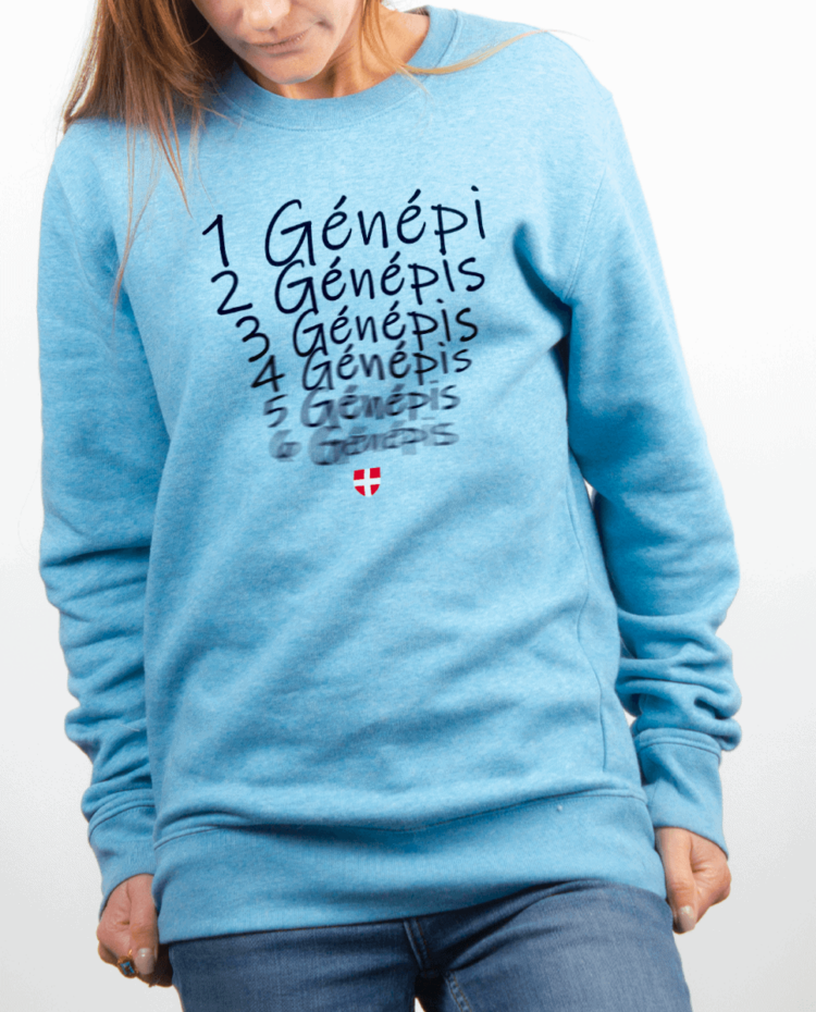 Pull Femme bleu ciel UN GENEPI DEUX GENEPIS