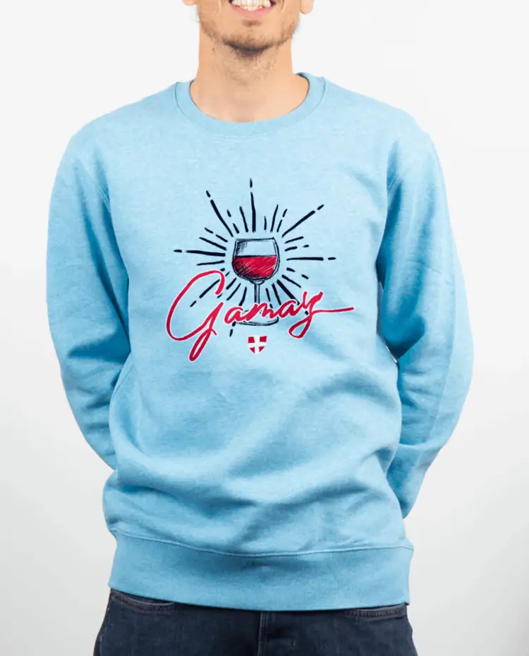 Pull Homme bleu ciel GAMAY