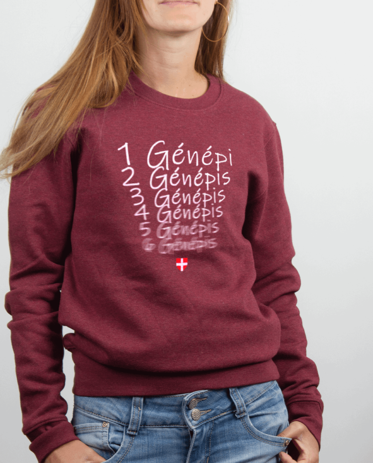 Pull femme Bordeau UN GENEPI DEUX GENEPIS