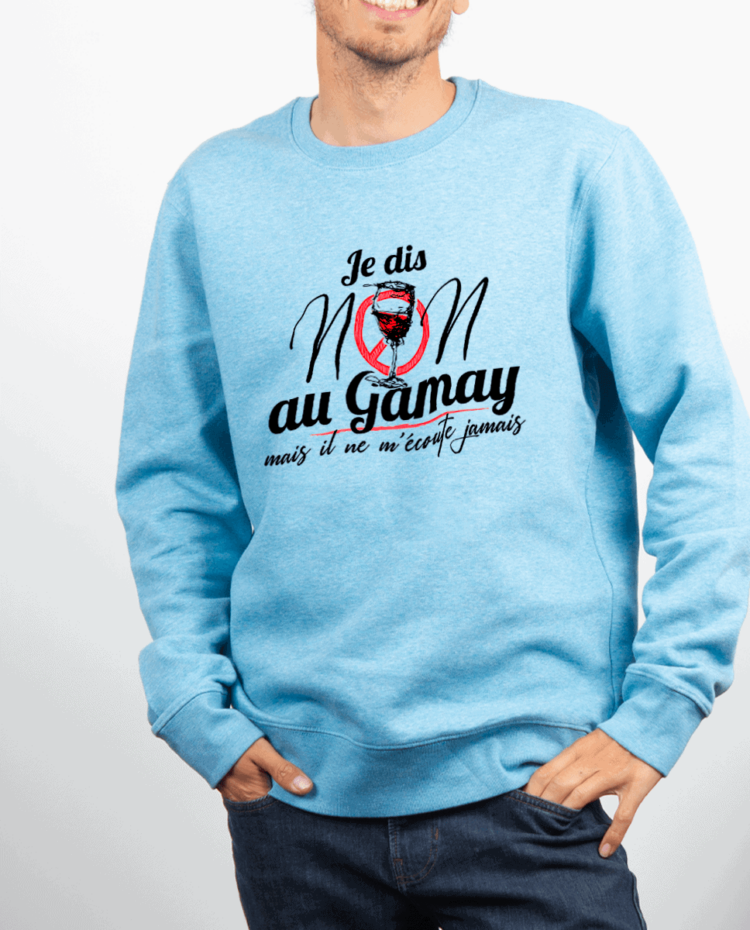 Pull Homme Bleu Ciel JE DIS NON AU GAMAY