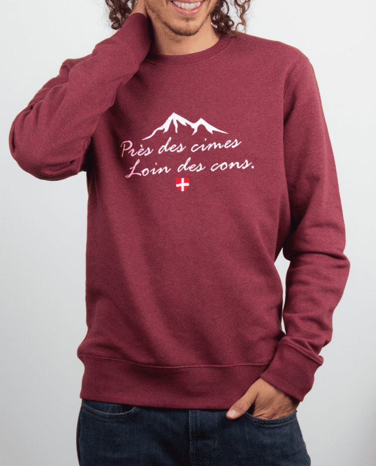 Pull homme Bordeau pres des cimes