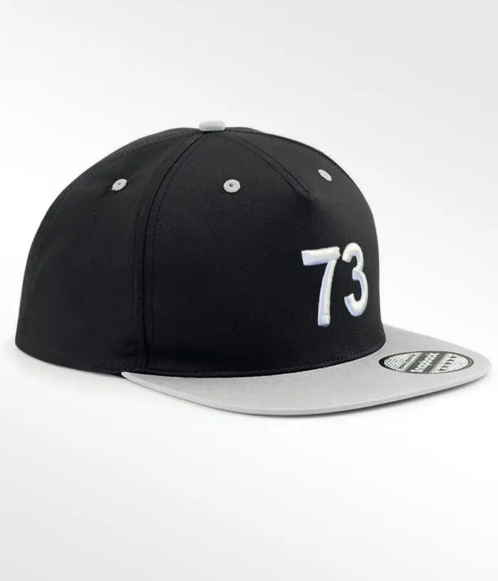 Casquette savoie Snapback Face Gris 73