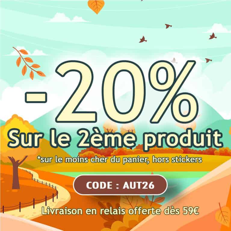 1x1Automne 2026 1